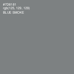 #7D8181 - Blue Smoke Color Image